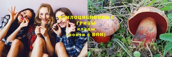 каннабис Коряжма