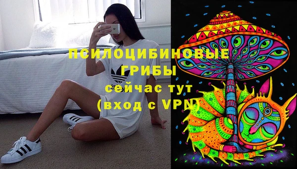 каннабис Коряжма